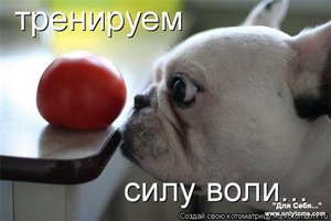 сила воли!!!!!