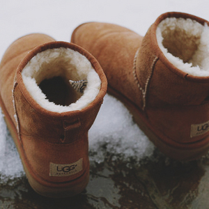 Uggs Classic Short
