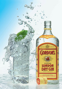 Gordon's dry gin