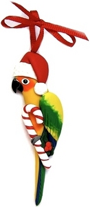 Parrot jewellery