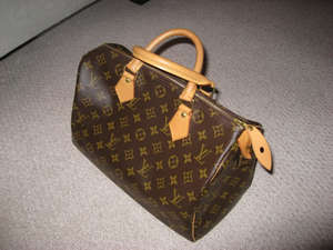 LV Speedy  30 Monogram Canvas