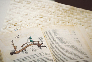 утащить книгу из библиотеки