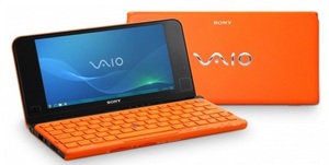 Sony vaio VPC-P