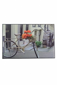 Репродукция "Велосипед"