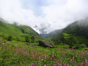 Национальный парк Долина цветов, Индия