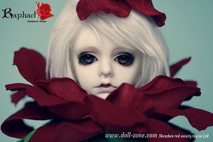 Raphael DollZone 1/4 Boy doll SUPER DOLLFIE BJD msd