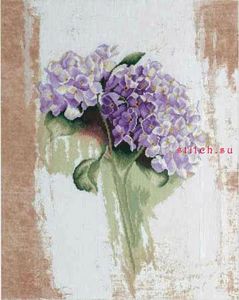 Сиреневая гортензия (Голубая гортензия, Blue Hydrangea), Lanarte (34878)