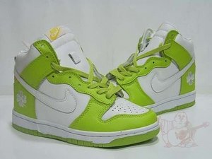 Nike Dunk (Irish)