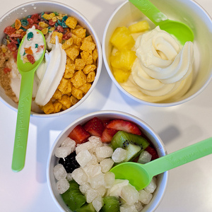 Yogurtland