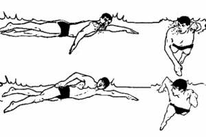 Научиться плавать кролем