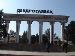 дендропарк