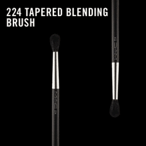 MAC brush #224