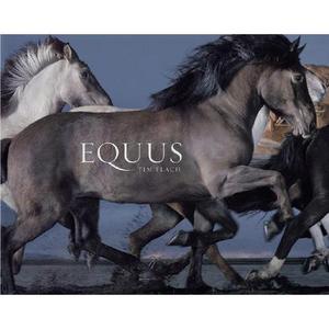 Tim Flach "Equus"