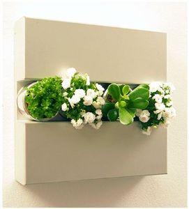 Настенные цветы Flowerbox