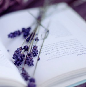 Прочитать 100 лучших книг мира