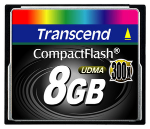 Transcend TS8GCF300