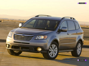 subaru tribeca