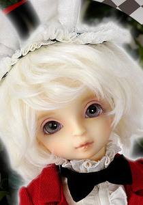 Volks yo-sd White Rabbit