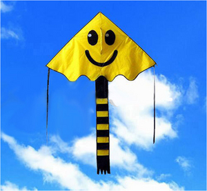 Воздушный змей