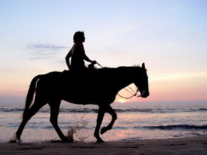 Horseback riding