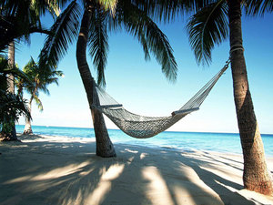 Hammock