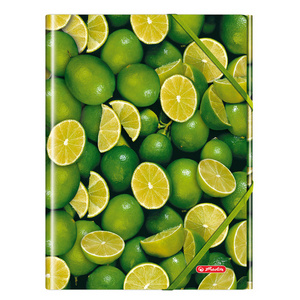 Папка Herlitz World of Fruit Lime