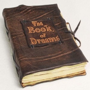 The book of dreams