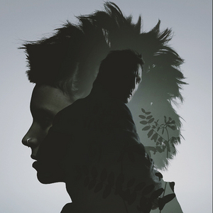 The Girl with the Dragon Tattoo (2011)