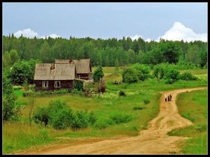 к бабушке в деревню