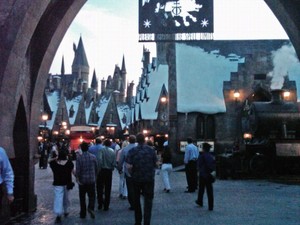 The Wizarding World of Harry Potter