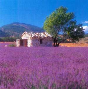 Provence...