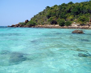 море