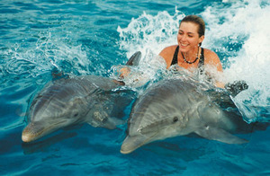 купание с дельфинами!