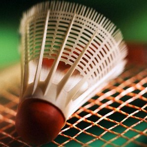 play badminton