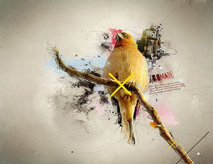 овладеть графическими программами