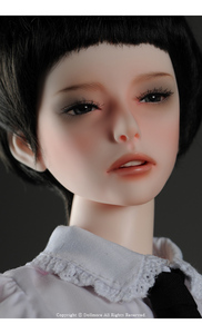 Zaoll Dreaming Muse