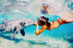 Swim with dolphins