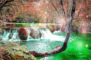 Фотообоина на стену высота 240 ширина 390