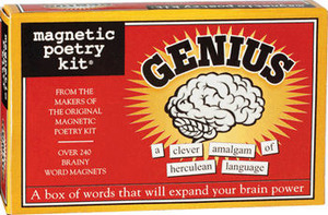 Genius Magnetic Poetry Kit