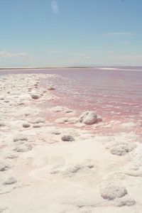 pink salt lake