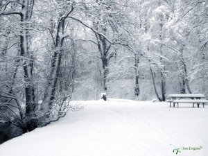 первый снег