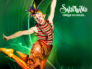 Билеты на Cirque du Soleil - Saltimbanco