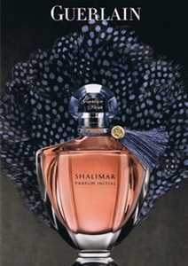 shalimar guerlain