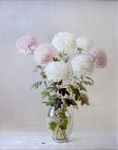 хризантемы