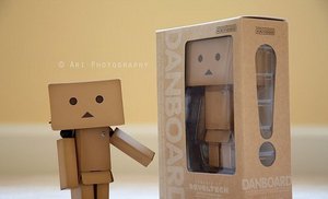 Danboard