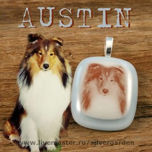 Подвеска "Мой питомец" фотография вожжённая в стекло