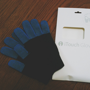 iTouch gloves