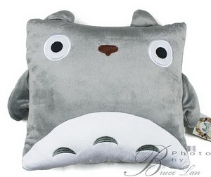 Tototro pillow