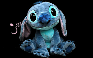 Big Stitch