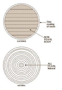Натуральная жемчужина (не культивированная)
